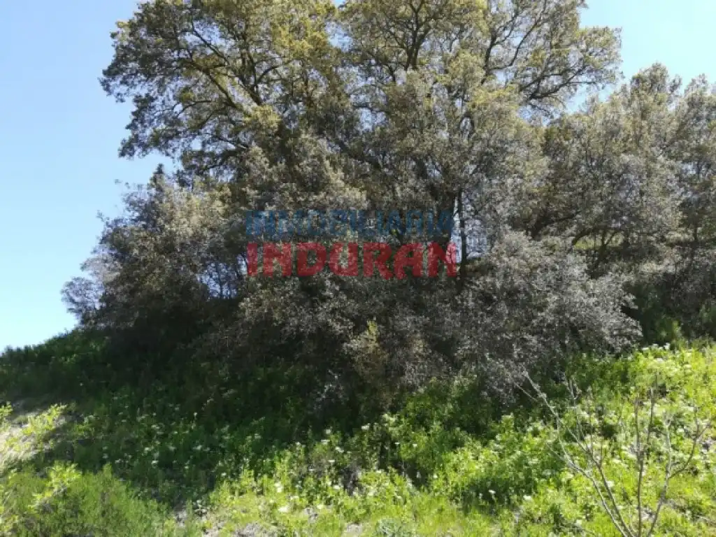 Finca rústica en venta en Villarrubia de Santiago