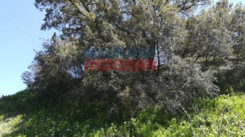 Foto 4 de Finca rústica en venda a Villarrubia de Santiago, Toledo