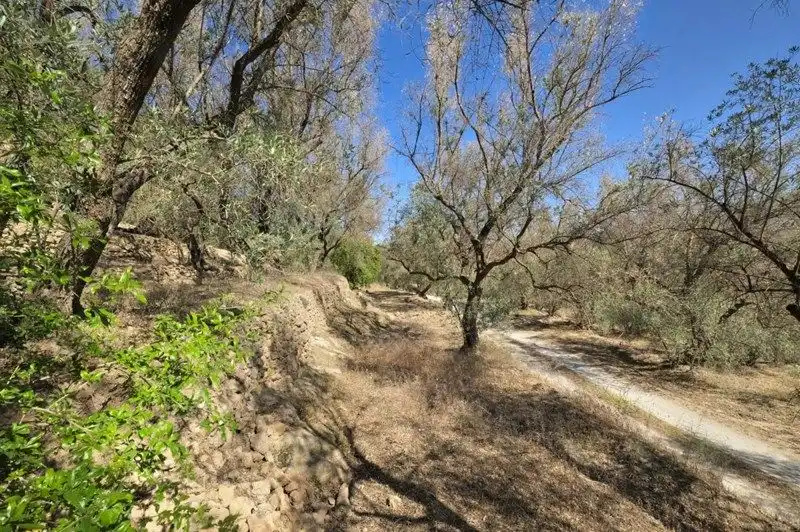 Terreno rustico in vendita a El Pinar, imagen 24
