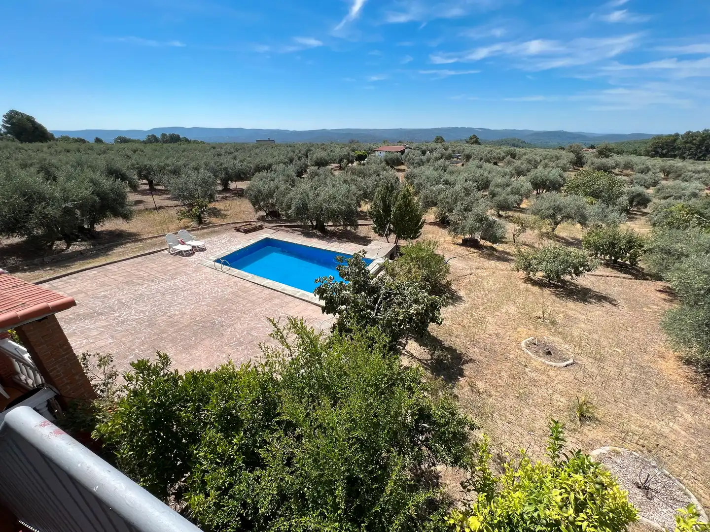 House with pool for sale in Calle José Gochicoa 2, imagen 26