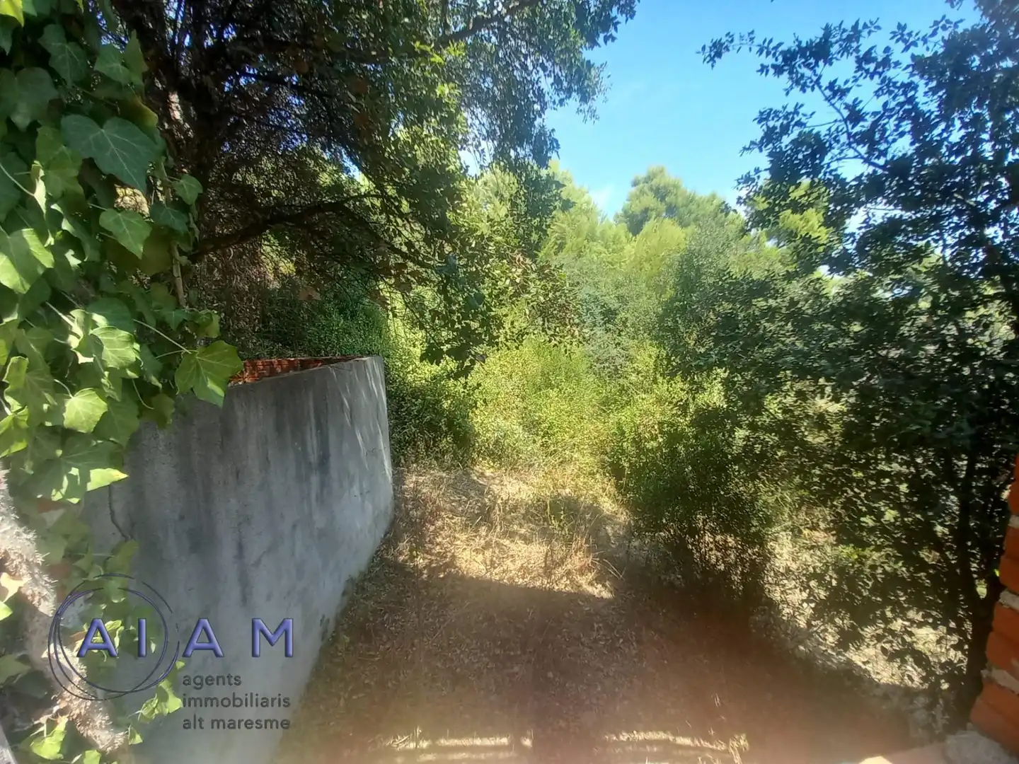 Lands and plots for sale in Palafolls, imagen 8