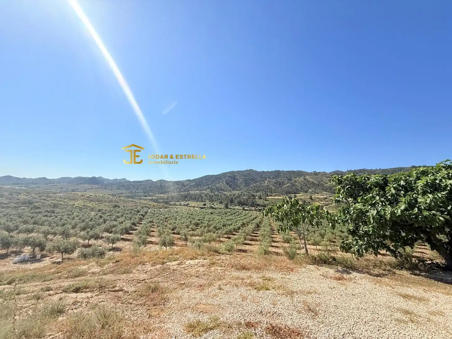 Houses for sale in Lorca
