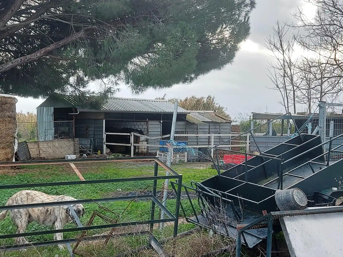 Vista exterior de Finca rústica en venda en Bollullos de la Mitación amb Jardí privat i Piscina