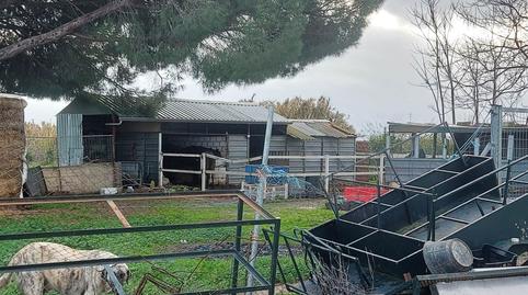 Foto 2 de Finca rústica en venta en Bollullos de la Mitación, Sevilla