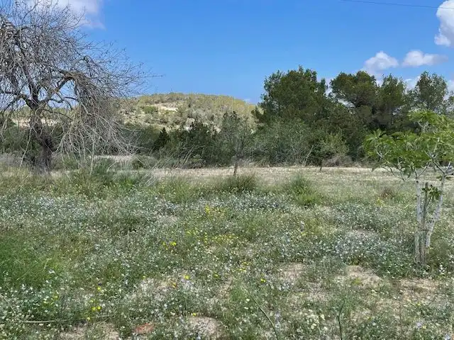 Haus mit Garten zum Verkauf in Sant Josep, imagen 16