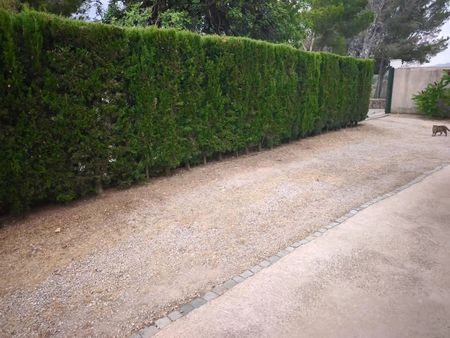 Jardí de Finca rústica en venda en Masdenverge amb Jardí privat, Traster i Moblat