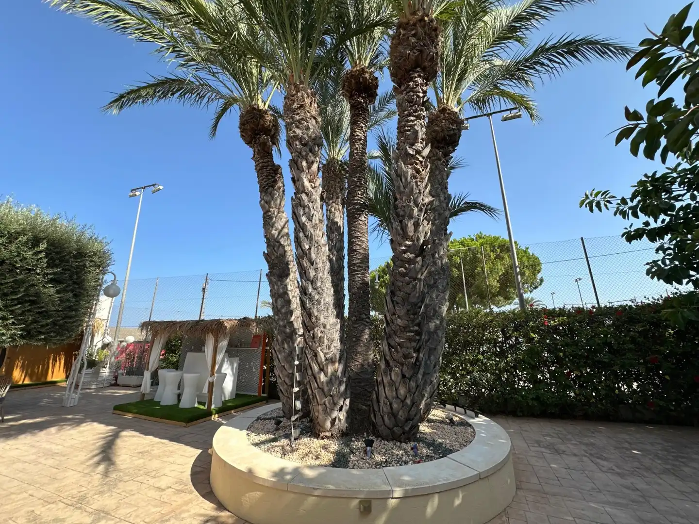Casa con terrazza in vendita a Perleta - Maitino, imagen 54