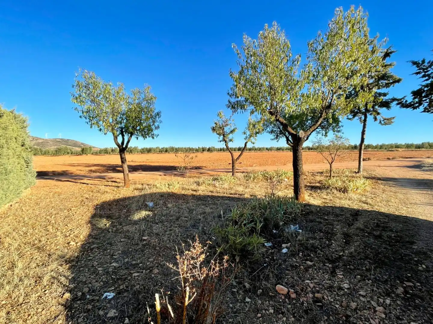 Finca rústica en venda en Valdepeñas amb Piscina