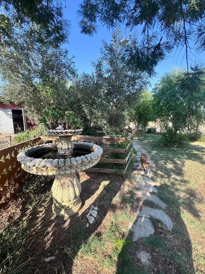 Jardí de Finca rústica en venda en Utrera