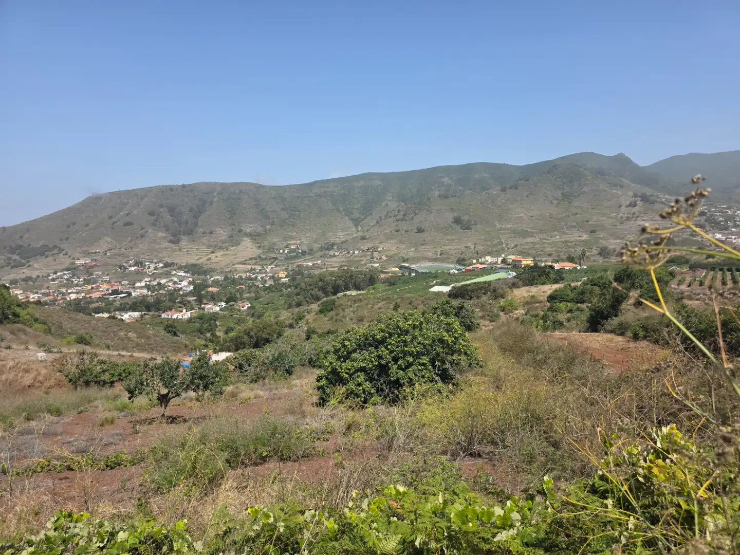 Rural land for sale in Camino las Peñuelas 11, imagen 38