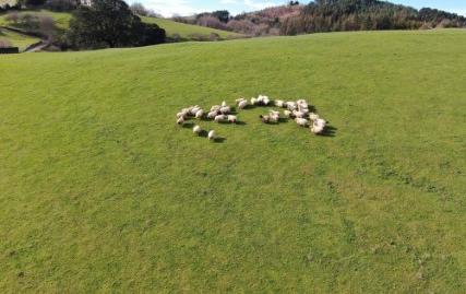 Foto 2 de Terreny en venda a Baltasar Etxabe Kalea, 3, Aizarnazabal, Gipuzkoa