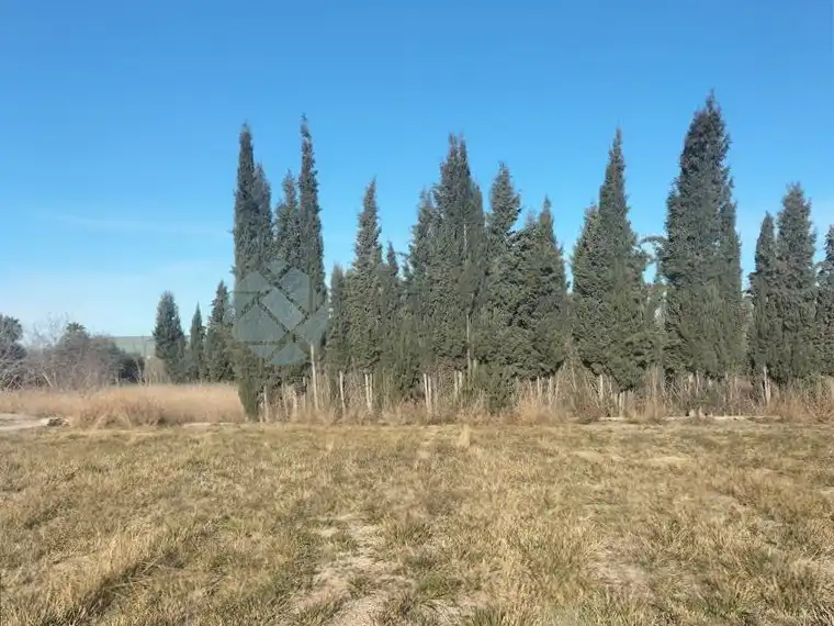 Lands and plots for sale in Poligono, imagen 4