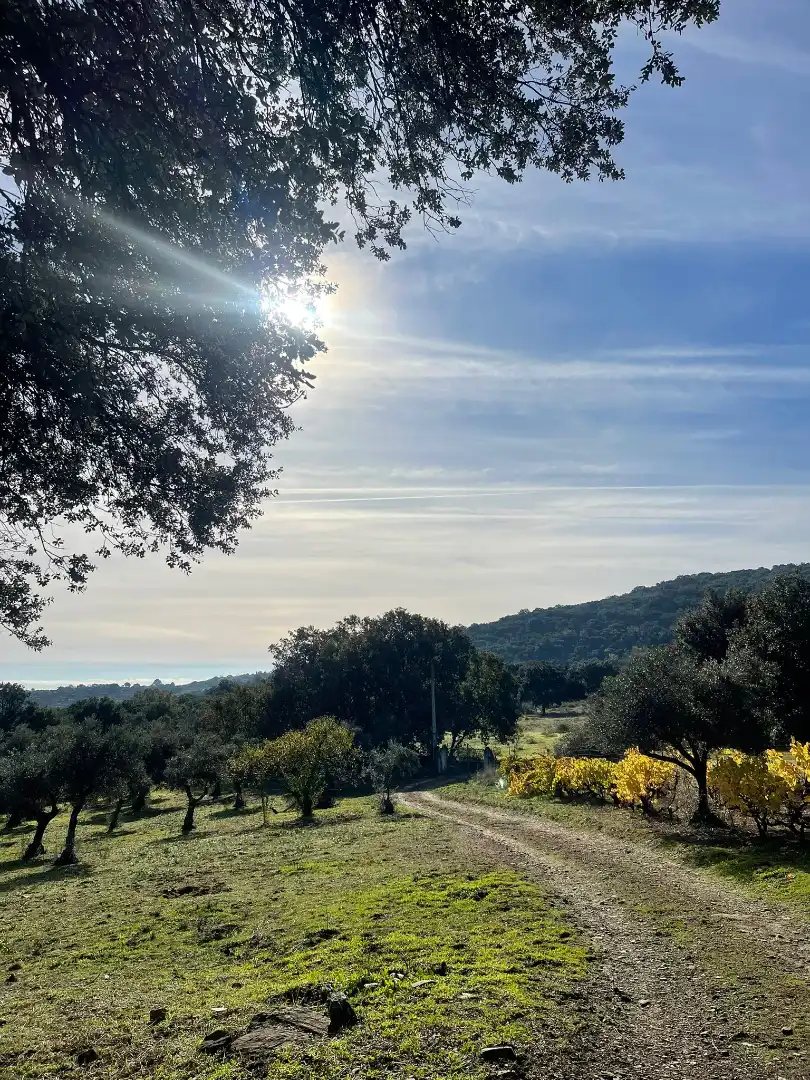 Vista exterior de Casa o chalet en venta en Plasencia con Jardín privado y Amueblado