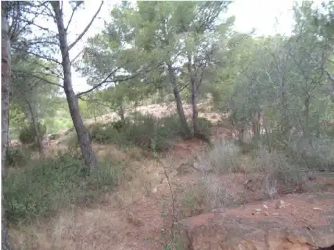 Wohnbaugrundstück zum Verkauf in Carrer el Timonet 383, imagen 5