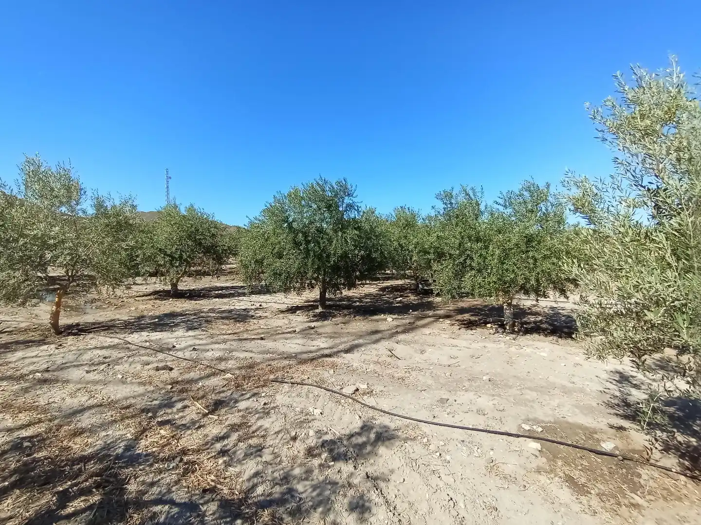 Terreni e lotti in vendita a Pedanías Sur, imagen 13