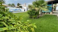 Jardí de Casa o xalet en venda en Chiclana de la Frontera amb Jardí privat, Traster i Piscina