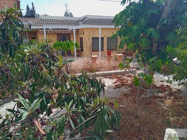 House with garden for sale in Pedanías Oeste