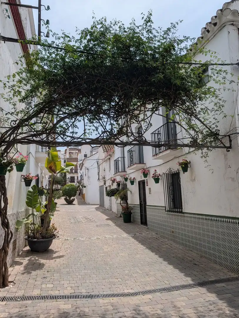 Maison mitoyenne à vendre à BEGINES, imagen 43