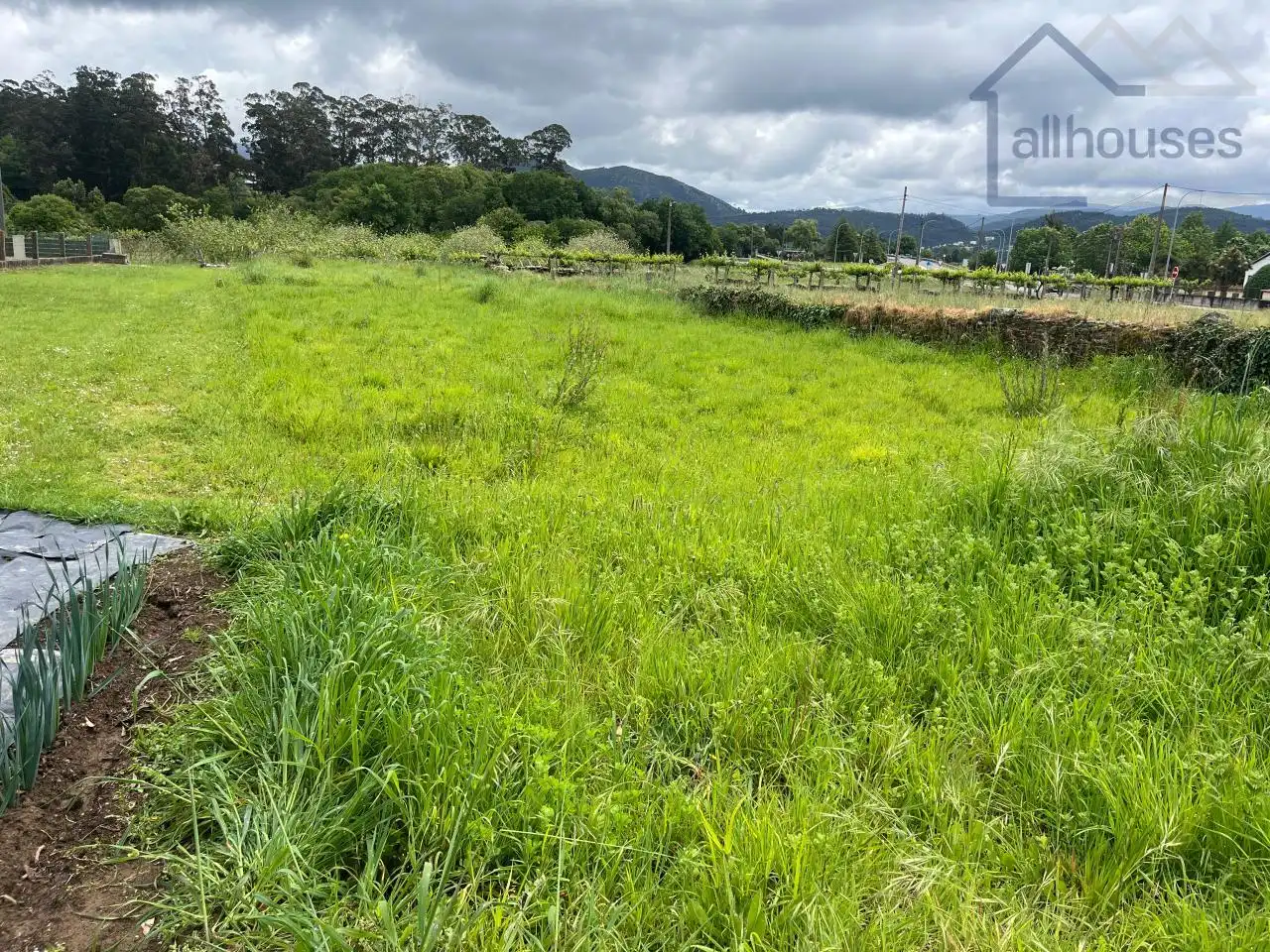 Terreno residenziale in vendita a O Rosal, imagen 4