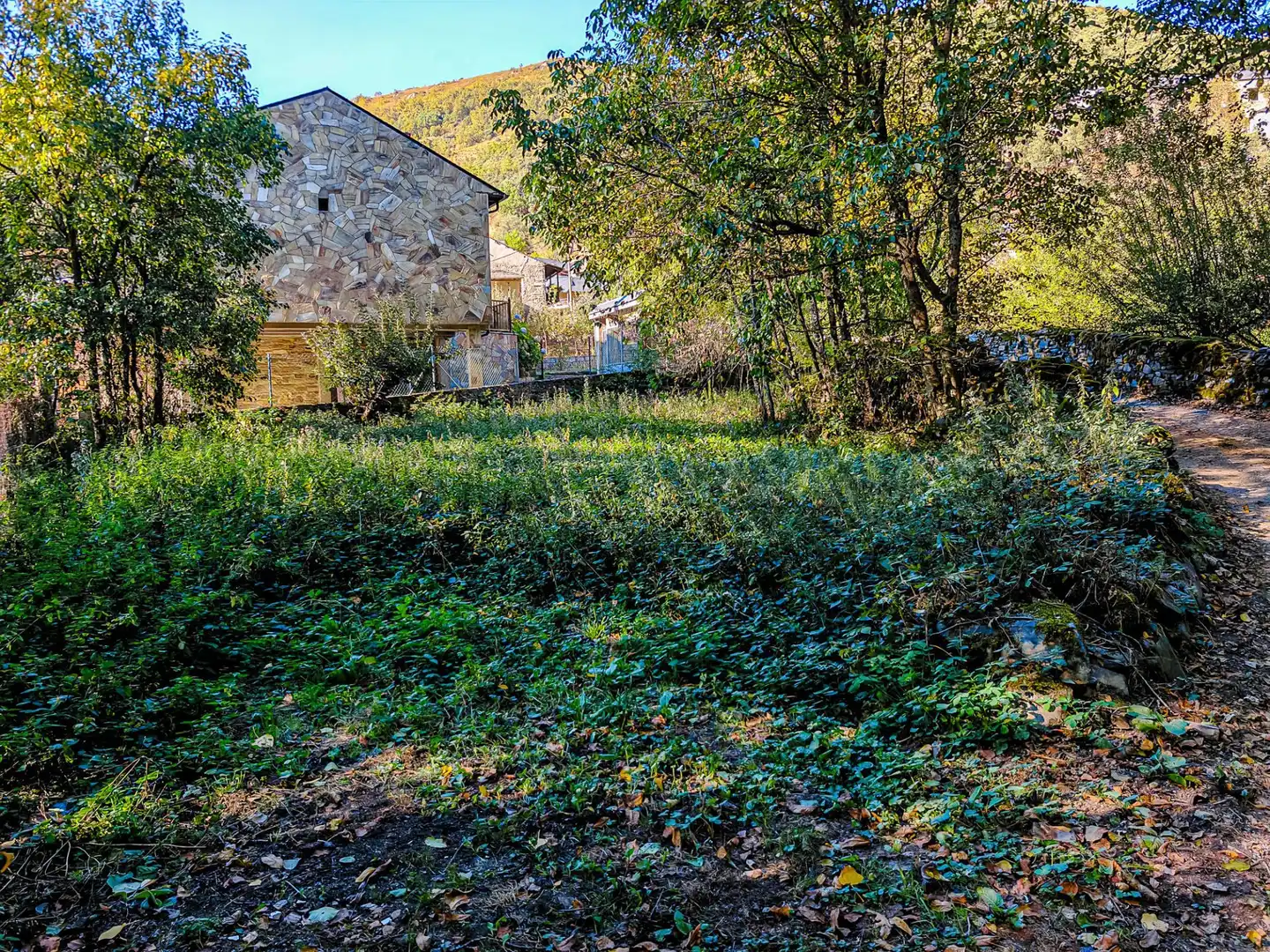 Finca rústica en venda en Ponferrada