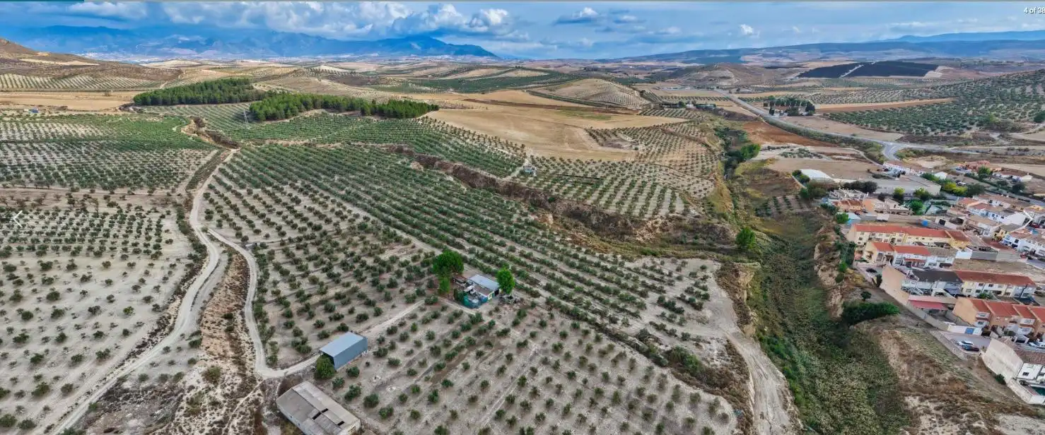 Finca rústica en venta en La Malahá