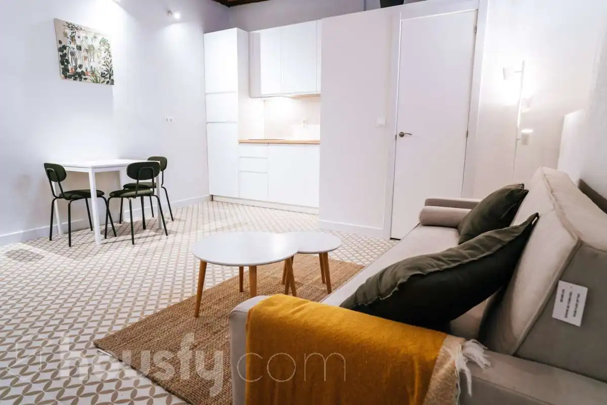 Sala de estar de Estudio de alquiler en Madrid con Amueblado