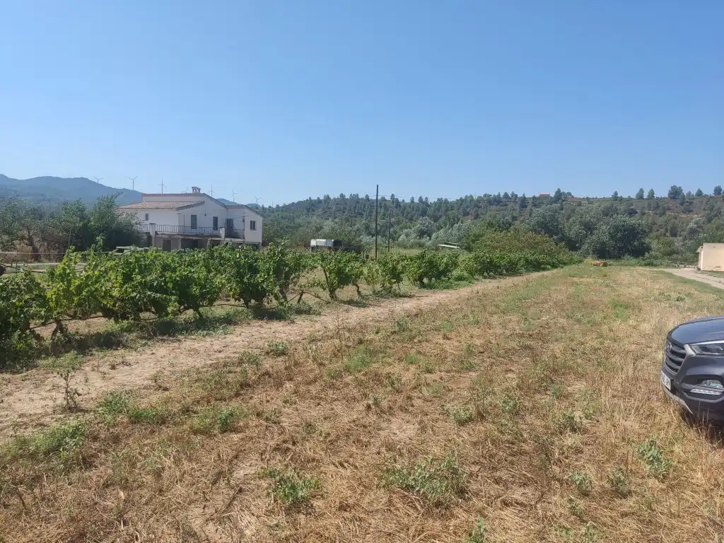 Rural land for sale in Ascó, imagen 7