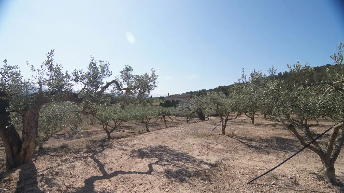 Finca rústica en venda a Miravet