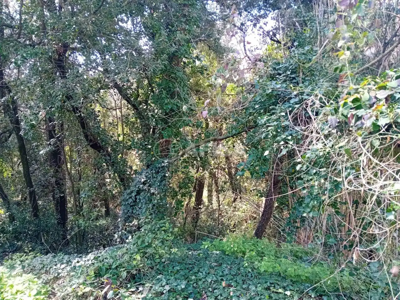 Terreno en venta en Cànoves I Samalús