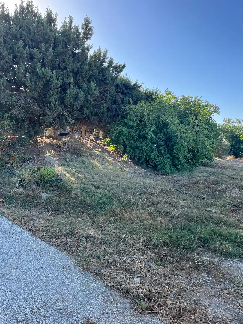 Finca rústica en venta en Cártama con Aire acondicionado, Terraza y Amueblado