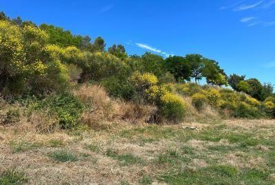 Foto 2 de Residencial en venda a Vinculo, Añorbe, Navarra