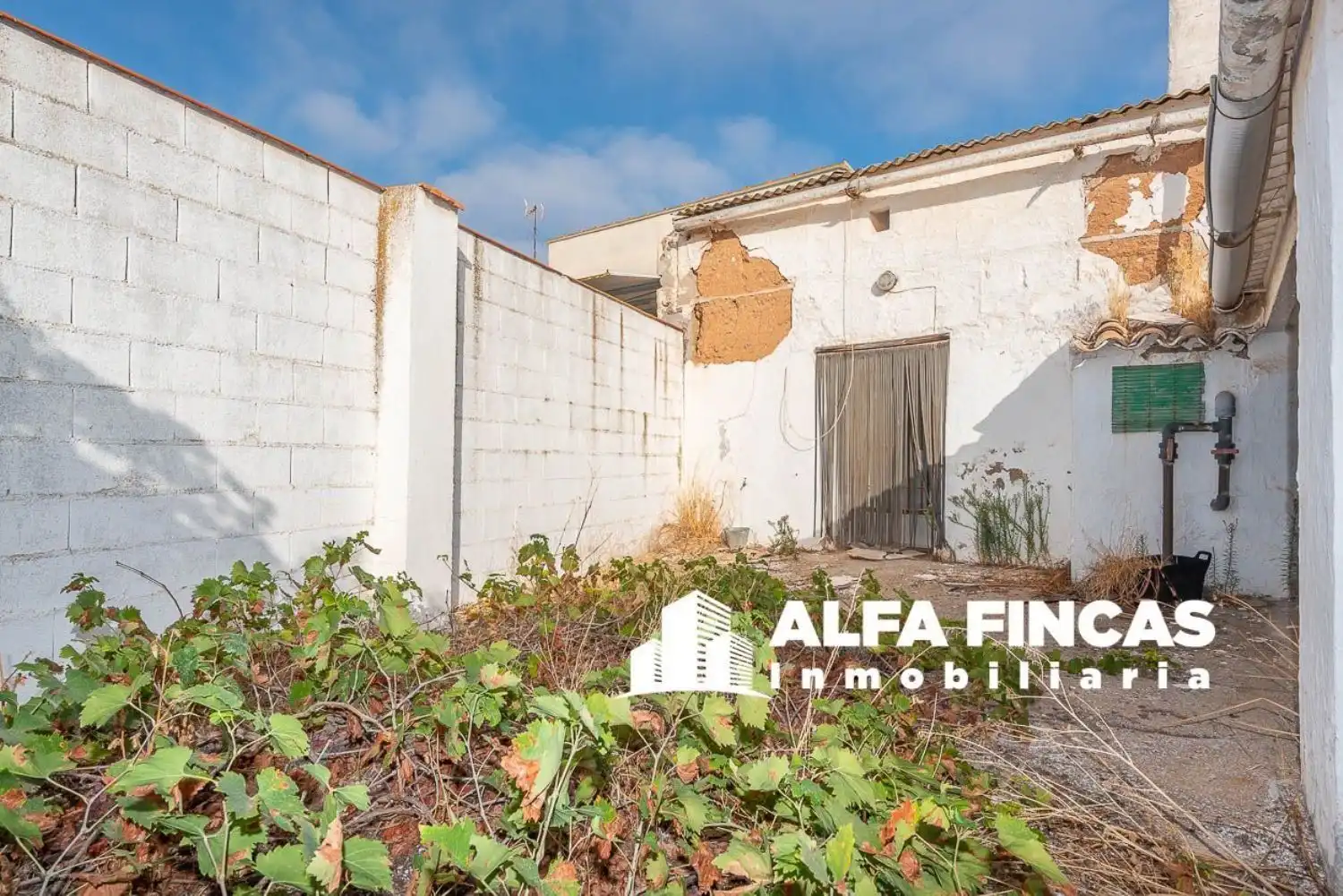 Vista exterior de Casa o chalet en venta en Las Mesas   con Jardín privado