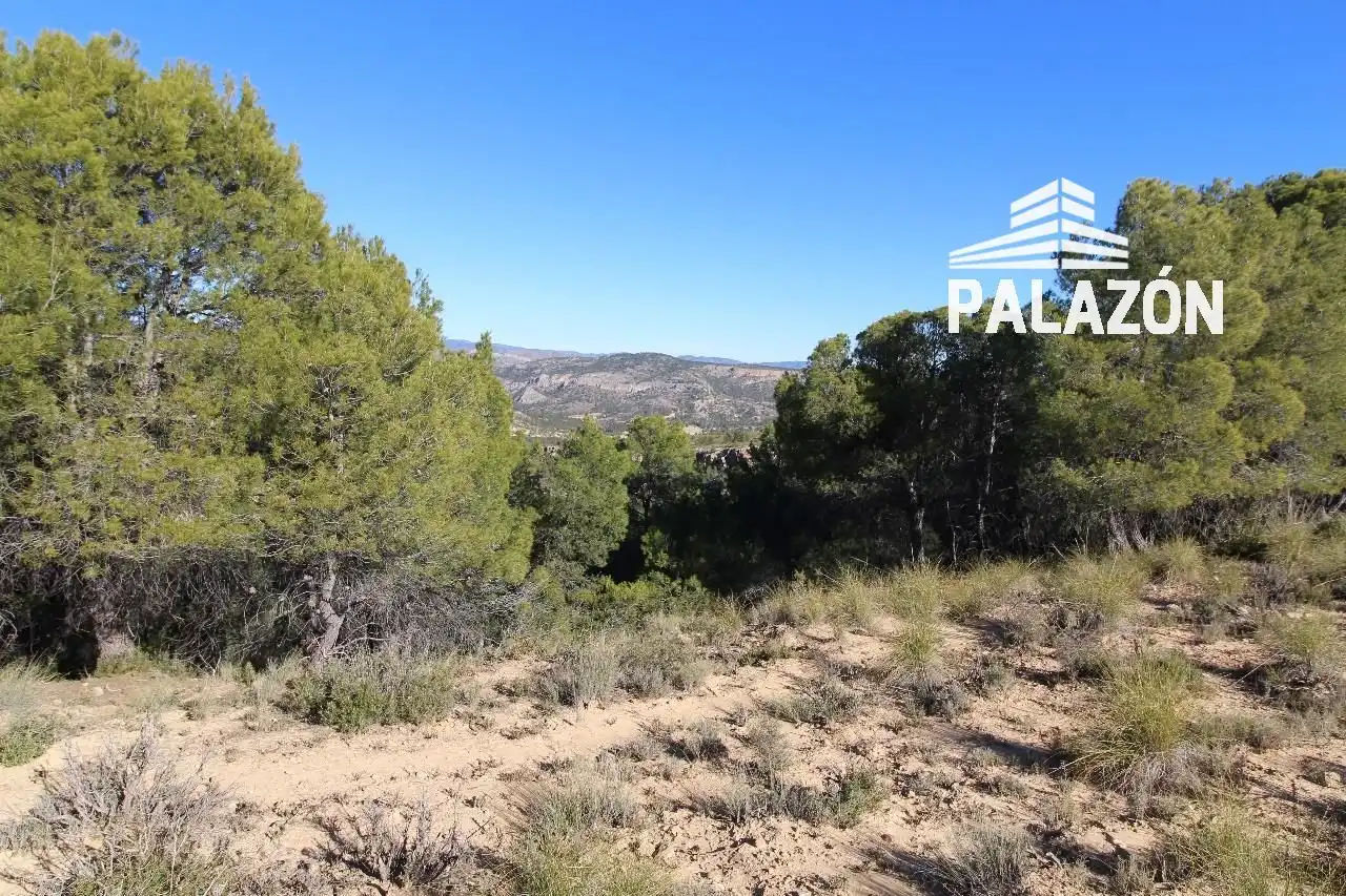 Rural land for sale in Letur, imagen 4