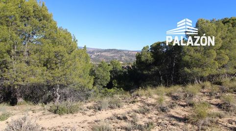 Finca de caza en venta en Letur Albacete, immagine 4