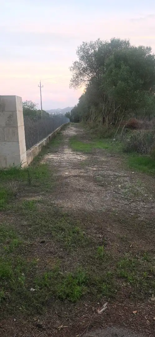 Rustikales Grundstück zum Verkauf in Camí de Son Dalmau 2, imagen 14