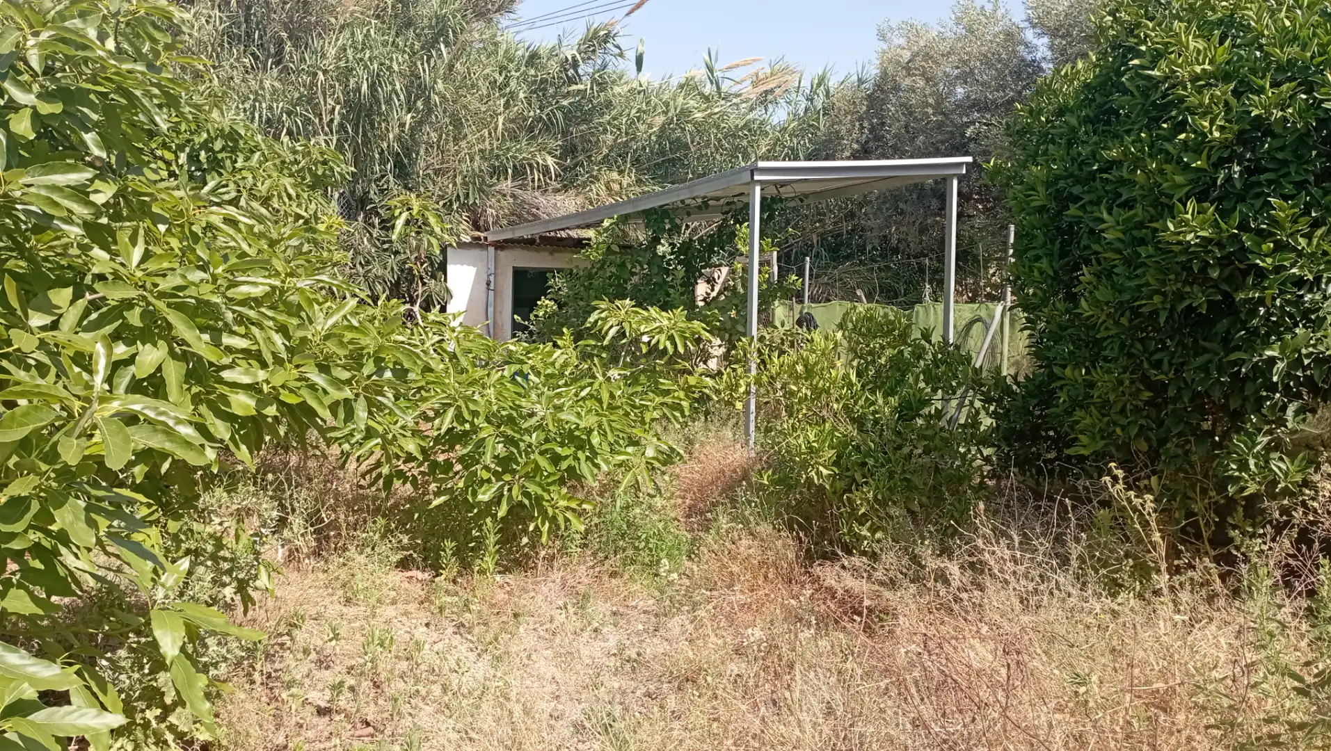 Terrain rustique à vendre à Lagos, imagen 2
