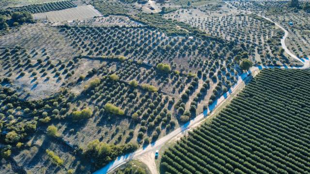 Terreno en Venta en Les Borges Blanques