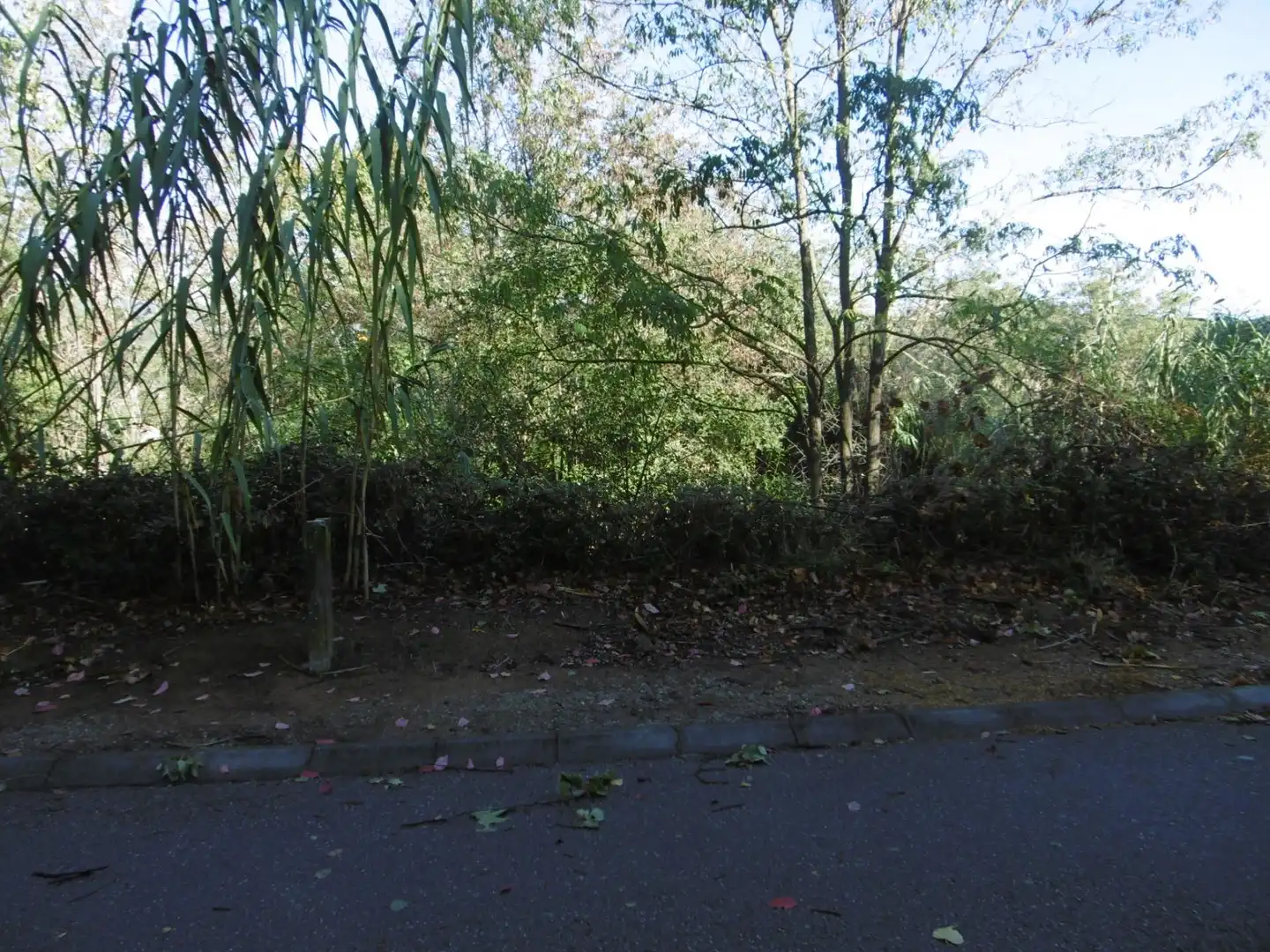 Terreno residencial en venta en 36 #parcela 36, imagen 11
