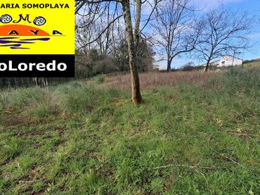 Lands and plots for sale in La Cabaña Reñada