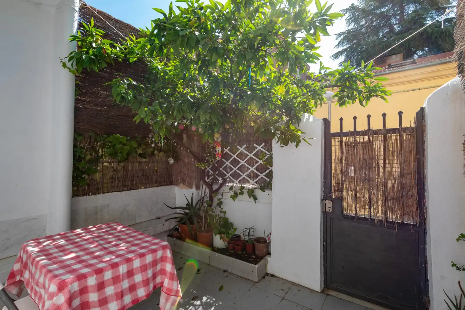 Terraza de Piso en venta en Moncloa - Aravaca