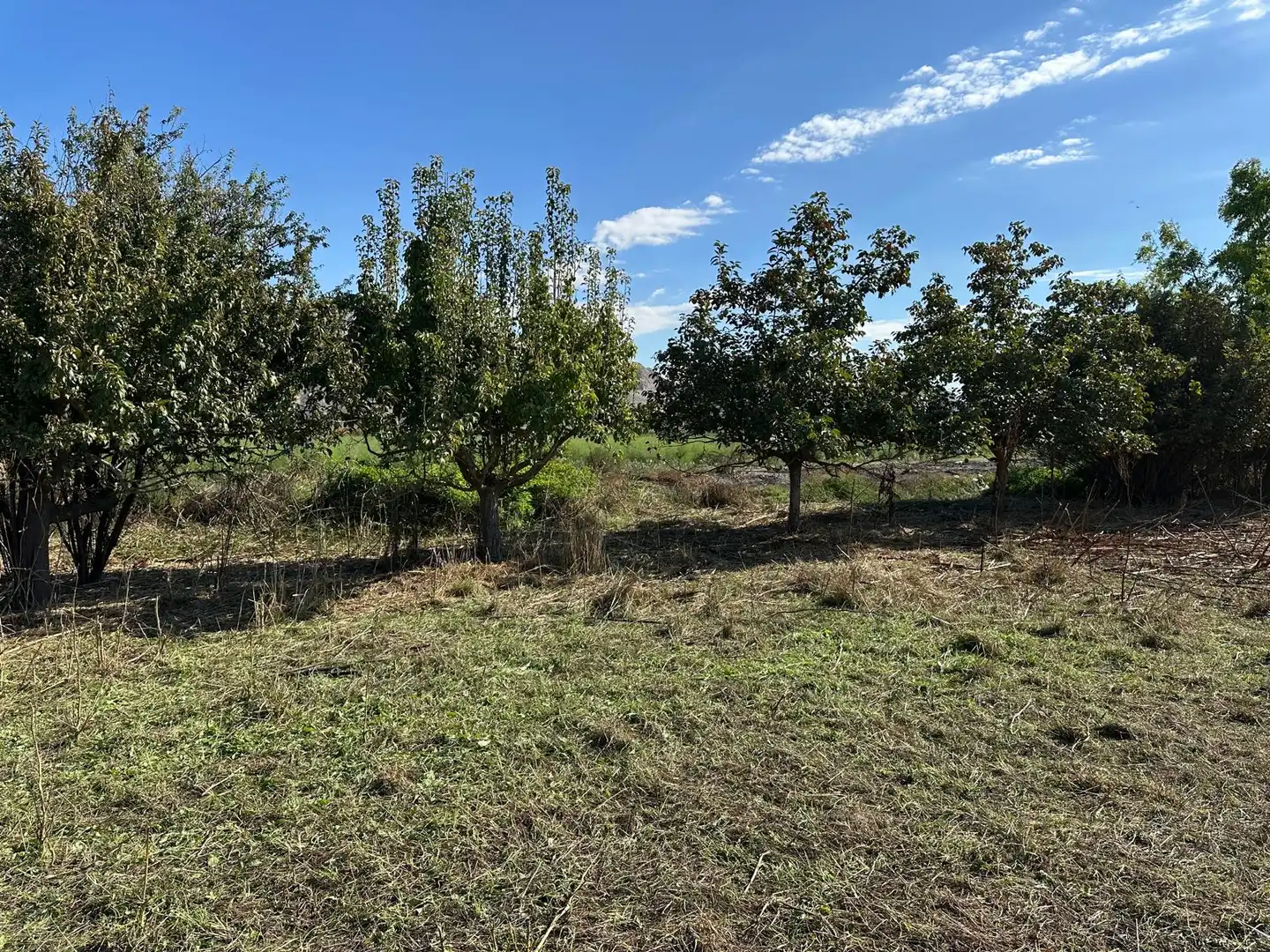 Finca rústica en venda en Fuente Vaqueros, Granada