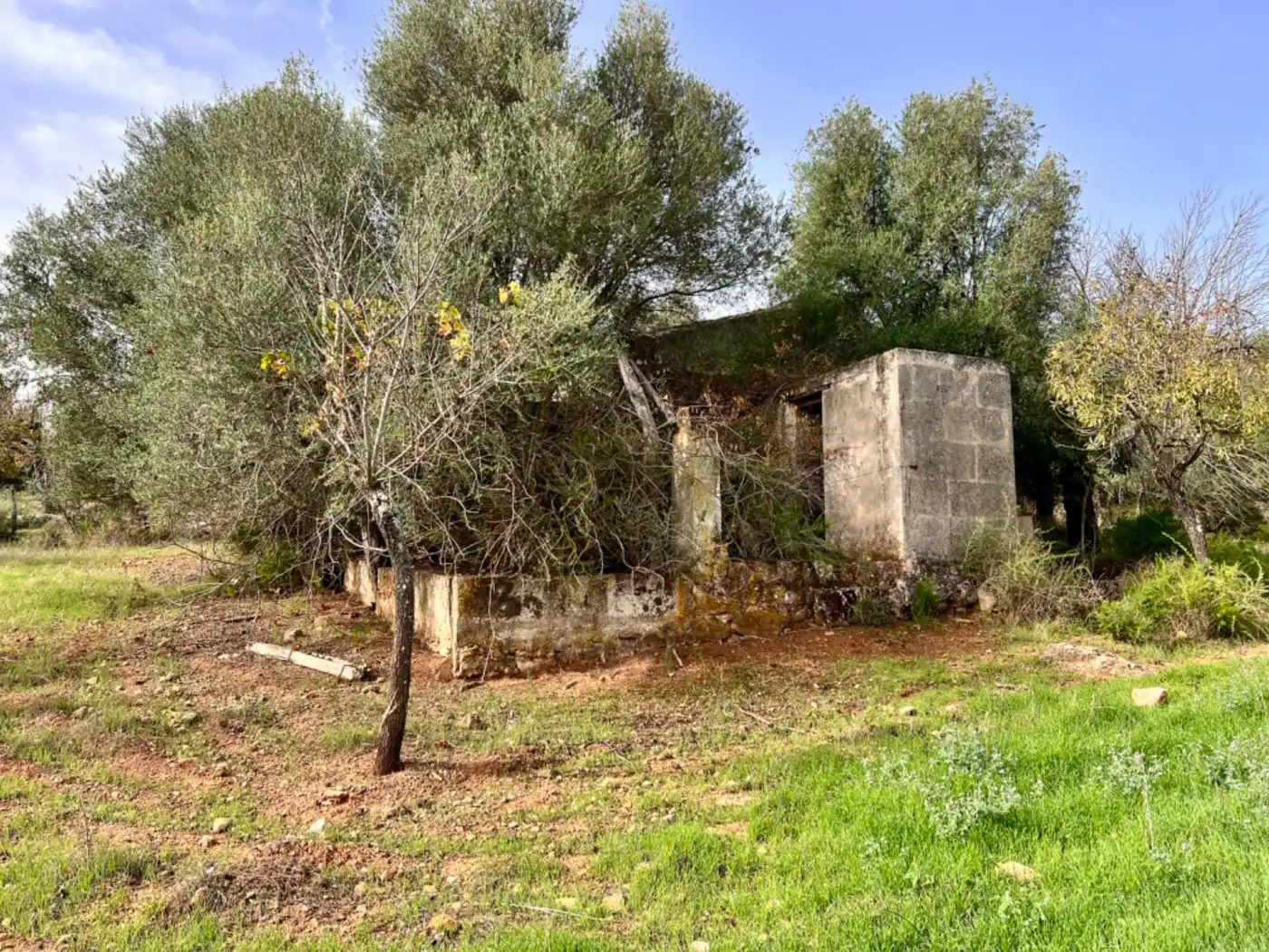 Casa rustica in vendita a Campanet