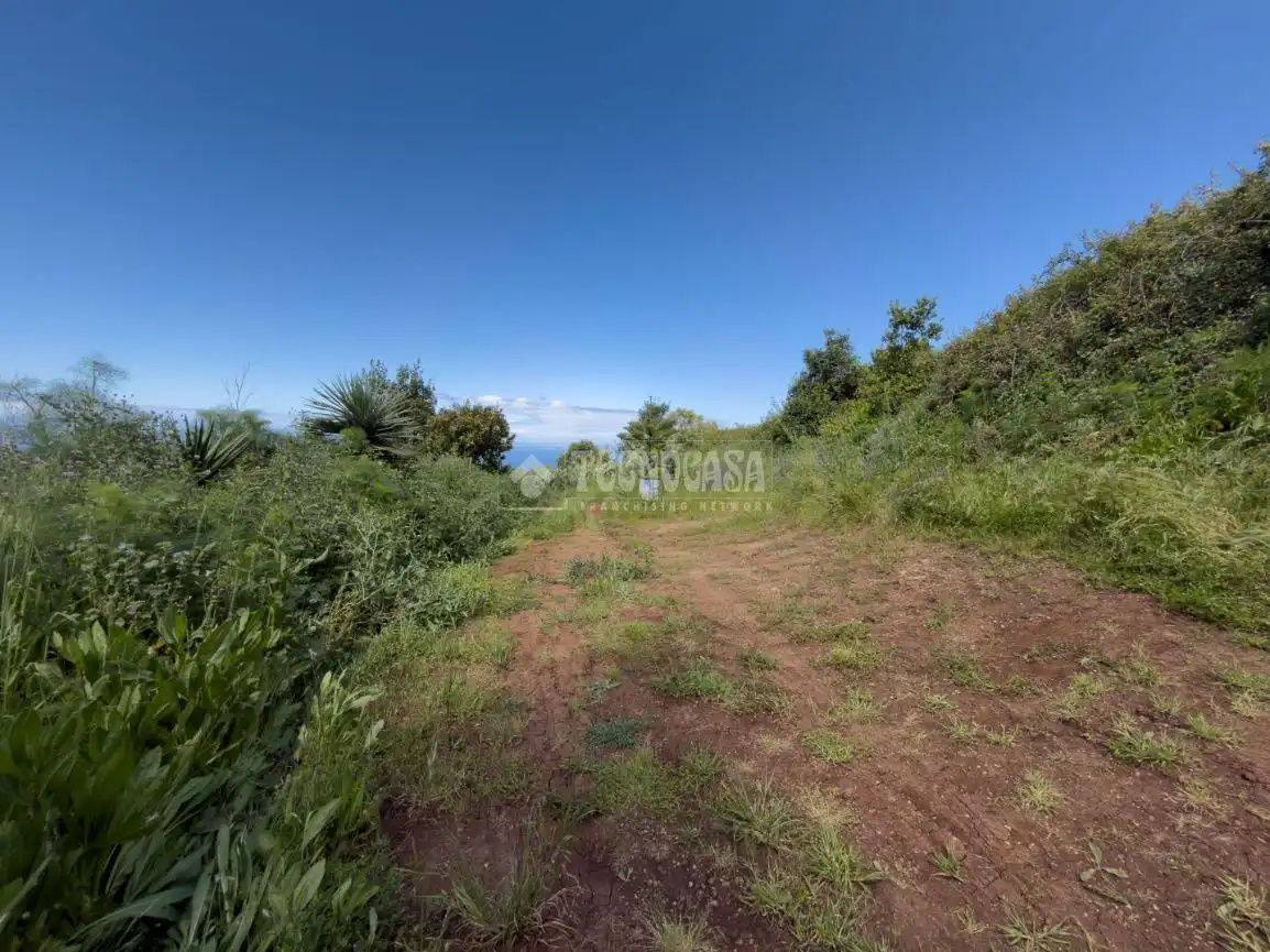 Land for sale in Icod de los Vinos