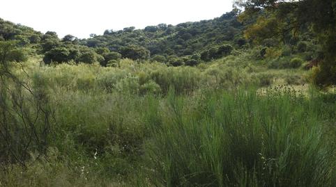 Foto 4 de Terreny en venda a Belvís de la Jara, Toledo