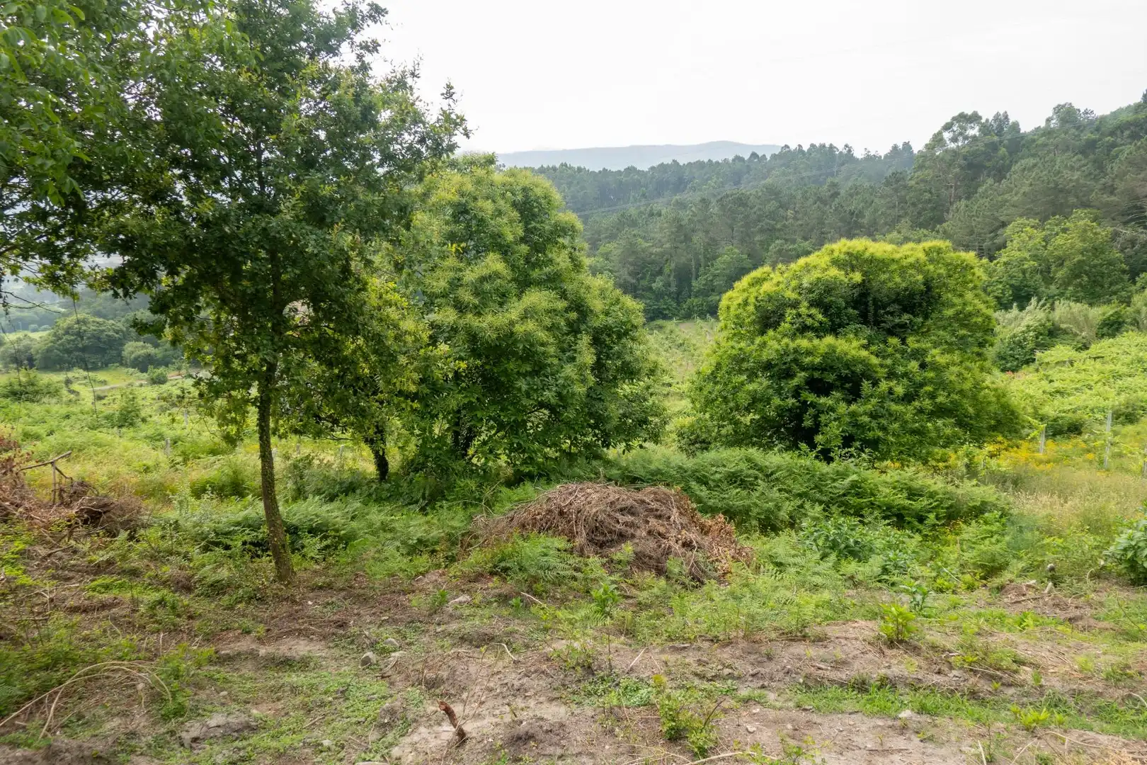 Finca rústica en venda en Arbo amb Jardí privat