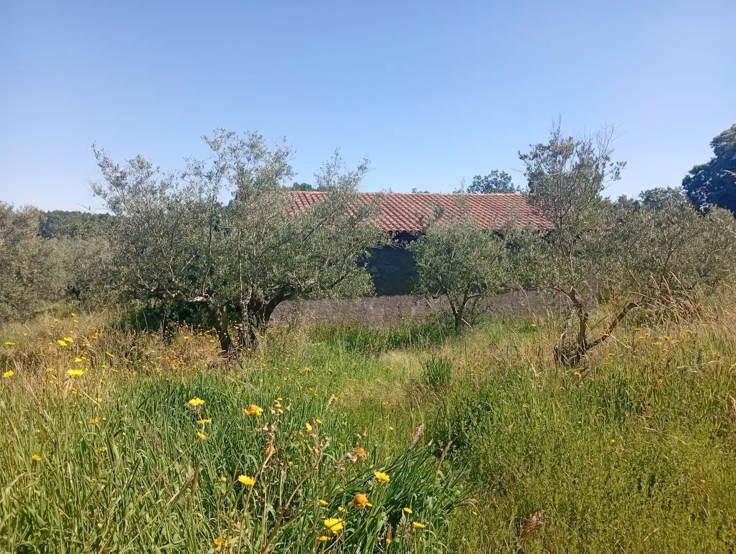 Maison à vendre à Villanueva de la Vera, imagen 87