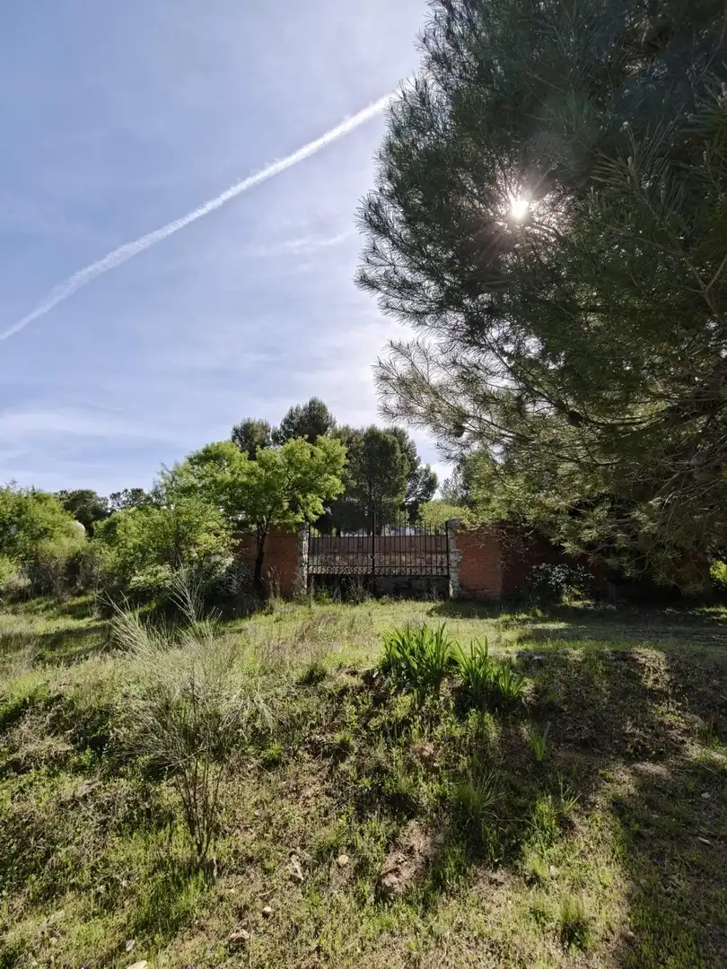 Chalet en venta en CERRO PALOS poligono 45 parcela 63, imagen 21