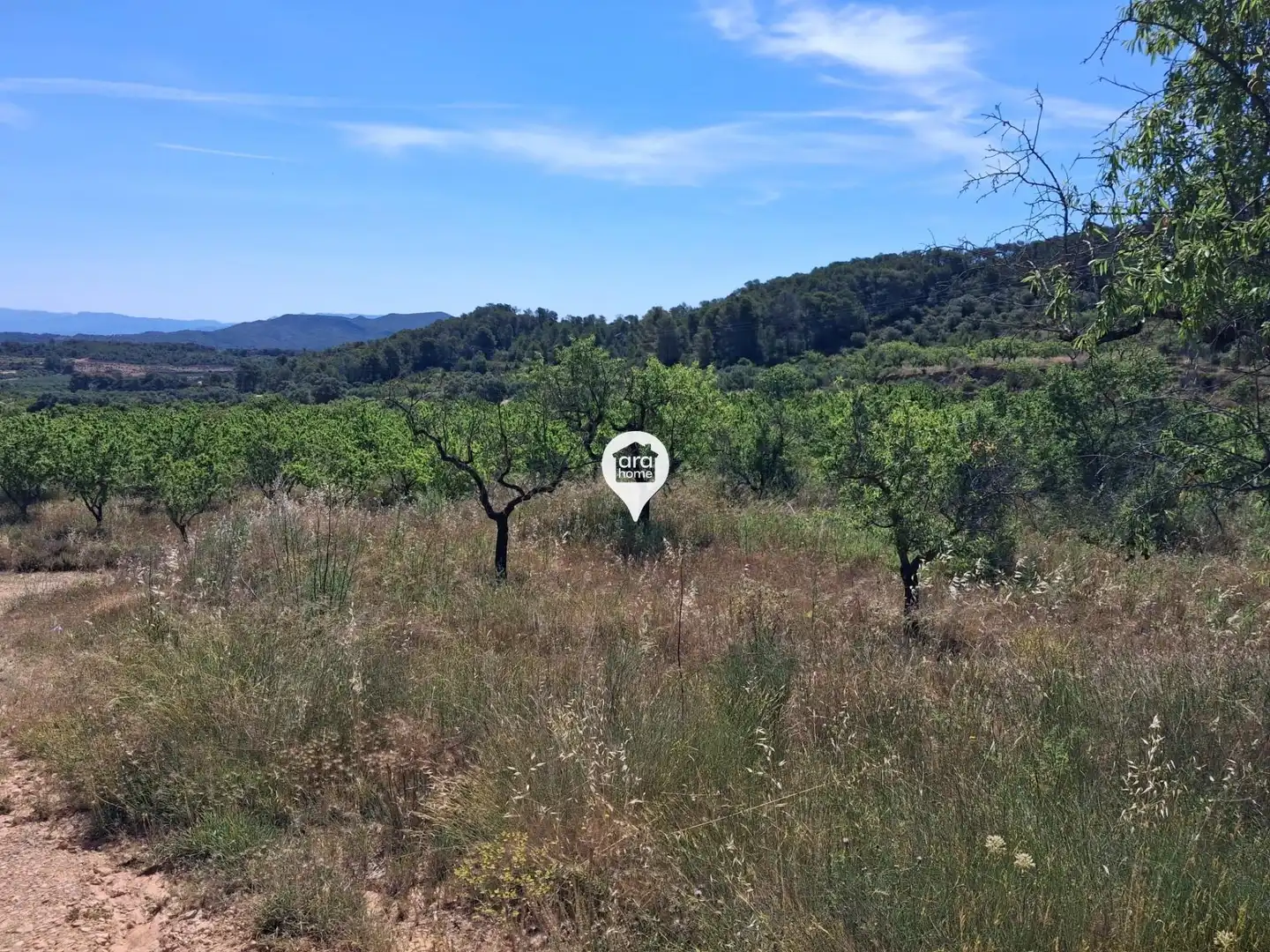 Land for sale in Madrid