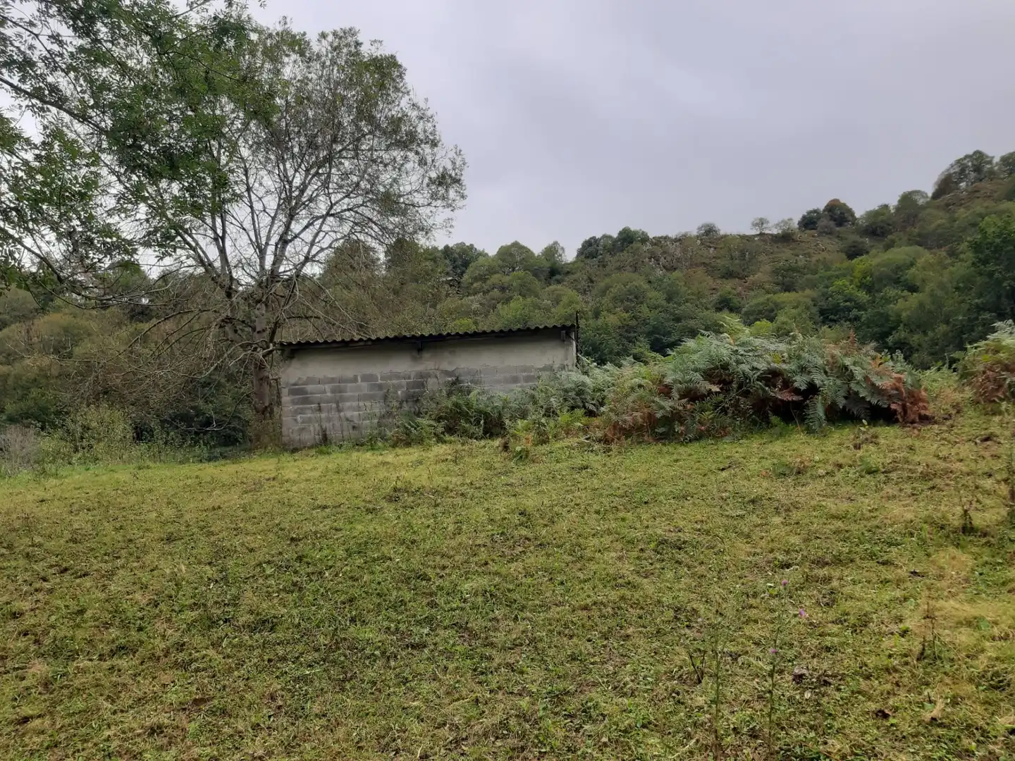 House with garden for sale in Cangas de Onís, imagen 18