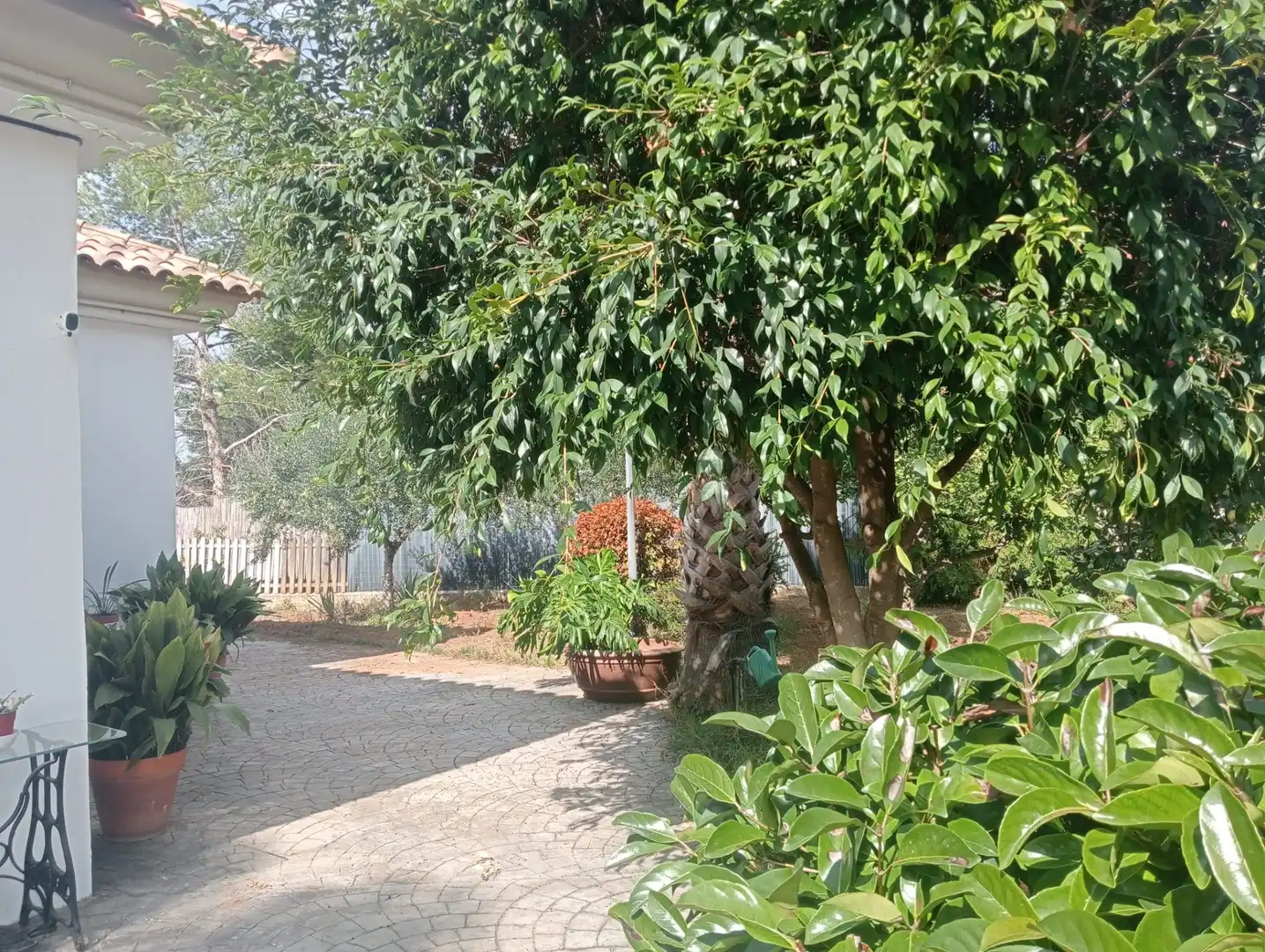Villa mit Pool zum Verkauf in Camí de Paterna - Lloma del Calderer, imagen 55